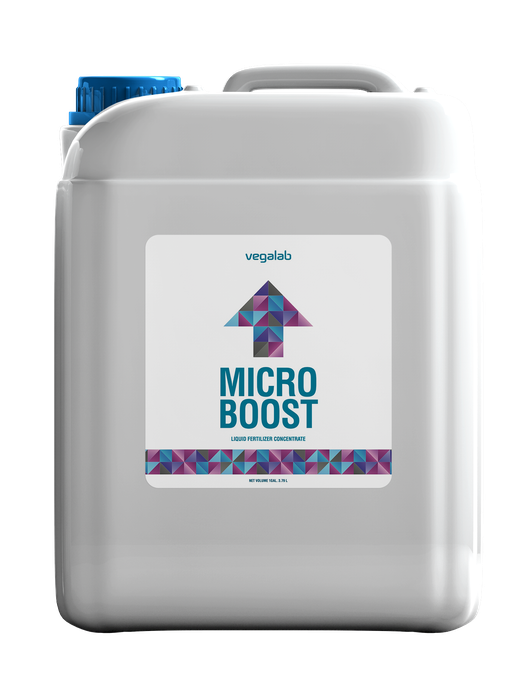 Micro Boost