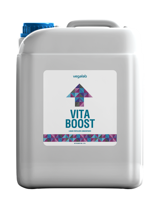 Vita Boost